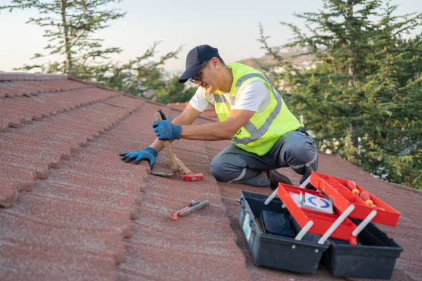 Best Commercial Roofing Services  in Bellevue, WI
